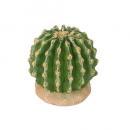 CACTUS L.E.D. LIGHT TYPE-D サボテン グリーン ポップ ライト 高さ9