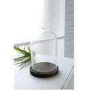 ガラスドーム ディスプレイドーム ドームグラス 通販