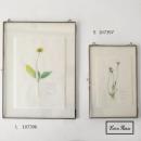 ディスプレイフレームS ガラス レトロ調 おしゃれ 通販