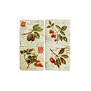 クルールレジンマグネットB オリーブ コースター アンティーク 北欧ナチュラル 壁 ディスプレイ