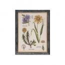 木製アートフレーム アートパネル 絵画 壁飾り フラワー アンティーク 通販