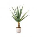 観葉植物 アロエ 鉢付き インテリア リビング ダイニング 飾り 通販