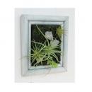 ミニチュアサキュレントフレーム S 2個セット ウォールデコ フレーム 壁掛け ディスプレイ 額