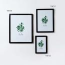 フォトフレームM 木製 おしゃれ 壁掛け ポスター 通販