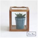 ディスプレイケース L コレクションケース 木製 通販