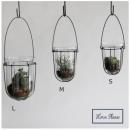 テラリウム M ガラス フラワーベース ハンギング 通販