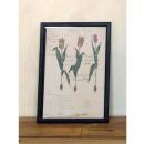 ブラックペイントフレーム A3 フォトフレーム ポストカード 壁掛け 木製 ガラス 黒 シック