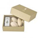 SPICE ヒノキアロマオイル&ボールセット 2個セット ヒーリンググッズ ナチュラル 高さ5