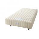 フランスベッド社製【マルチラスハードスプリング脚付きマットレスベッド】