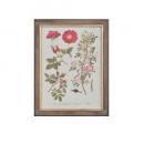 ウォールアートフレーム フレームG フラワー おしゃれ インテリア雑貨 額縁 高さ43