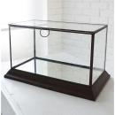 レクタングル ミラーテラリウム アンティーク調 ディスプレイ ガラスケース 植物 幅33.5