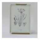 フォトフレーム セット グラス (L) ガラス クリア アンティーク調 おしゃれ 縦19