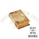 ヘイオンワイブックス ブラウン 収納ボックス ヴィンテージ調 おしゃれ 世界地図 高さ19