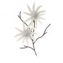 Star Gazer ウォールDecor 壁掛け ディスプレイ ウォールアート おしゃれ ゆり