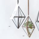 テラリウム ガラス フラワーベース ハンギング 通販