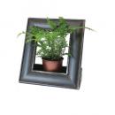 Wooden スペースフレーム Dark Brown ディスプレイ 木製 おしゃれ 額縁 シック