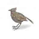 ジャルダンオブジェバード ガーデン雑貨 オブジェ ブリキ グレー 高さ230