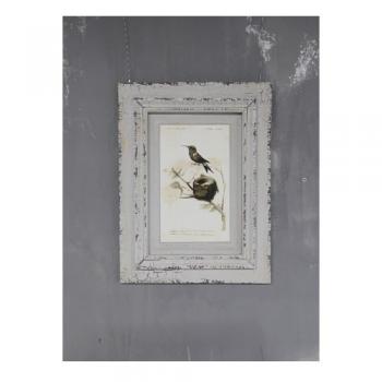 アートフレーム おしゃれ シャビー ディスプレイ アンティーク調 絵画 アート 鳥 バード