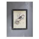 ウォールピクチャー おしゃれ シャビー ディスプレイ アンティーク調 写真 アート 鳥 バード