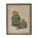 ドロールカクタスフレーム アンティーク調 アイアン 木製 フレーム ウォールアート 幅35.5