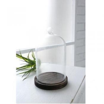 ガラスドーム ディスプレイドーム ドームグラス 通販