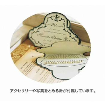 コレクションボックスL アンティーク雑貨アクセサリー小物 ディスプレイ シャビーホワイト 額フレーム