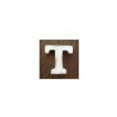 ウッデンレターズ T ウッド アルファベット オブジェ 2個セット インテリア アンティークホワイト