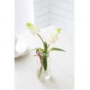 フェイクグリーン エアプランツ ボトル おしゃれ 通販