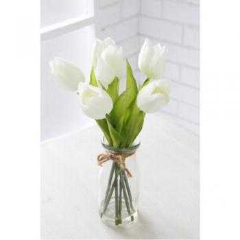 フェイクグリーン エアプランツ ボトル おしゃれ 通販