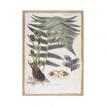 プラントキャンバス アートパネル 絵画 壁飾り 通販