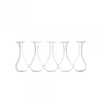 GLASS VASE ''SPARAXIS PARADE'' LineA ガラス 花瓶 高さ10