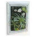 ミニチュアサキュレントフレーム L 2個セット ウォールデコ フレーム 壁掛け ディスプレイ 額