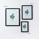 フォトフレームM 木製 おしゃれ 壁掛け ポスター 通販