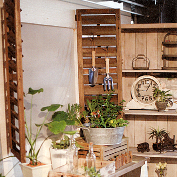 フレンチヴォレー　2pセット【AXFF2059】