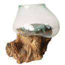 流木アクアリウム M 水槽 ガラス インテリア 小物収納 高さ20 通販