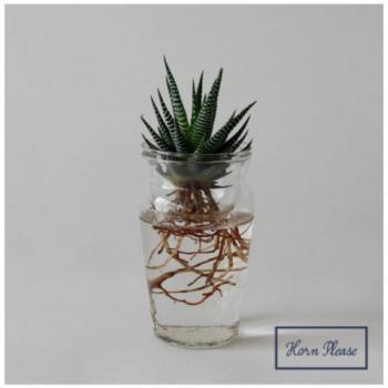 フラワーベース ガラス インテリア クリア 花瓶 通販