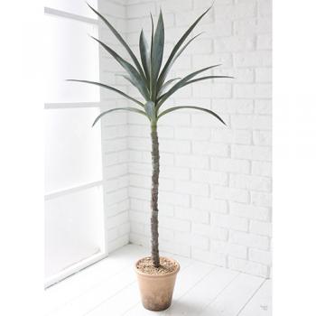 観葉植物 ドラセナ Lサイズ インテリア ガーデニング 飾り 庭 高さ115 通販