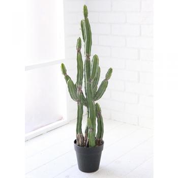 観葉植物 カクタス サボテン インテリア ガーデニング 飾り 庭 高さ73 通販