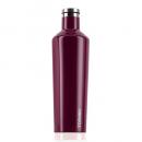 CORKCICLE CANTEEN Merlot 25oz ボトル ブラウン 2個セット 高さ29