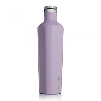 CORKCICLE CANTEEN Peri Peri 25oz ボトル 2個セット 高さ29