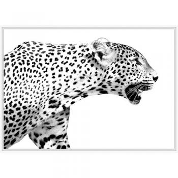 SPICE Monochrome アートパネル チーター フレーム おしゃれ 高さ71