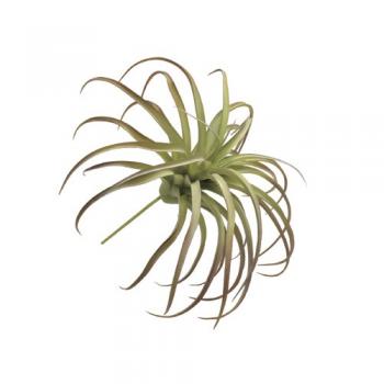 アートプランツティランジアL-GR インテリア ディスプレイ 飾り ハンドメイド 直径300