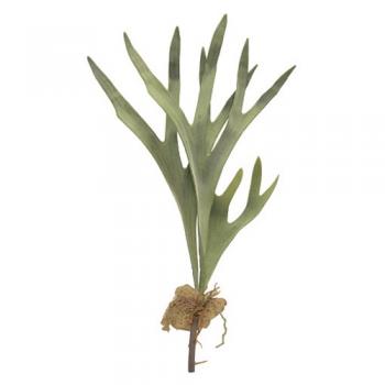 アートプランツコウモリランリーフA インテリア ディスプレイ 飾り ハンドメイド 長さ600