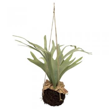 アートプランツコウモリランハンギングA インテリア ディスプレイ 飾り ハンドメイド 高さ560