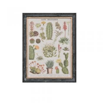 ウォールアートフレーム フレームD ボタニカル おしゃれ インテリア雑貨 額縁 高さ43