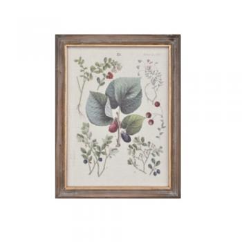 ウォールアートフレーム フレームL ボタニカル おしゃれ インテリア雑貨 額縁 高さ43