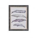 ウォールアートフレーム フレームA クジラ おしゃれ インテリア雑貨 額縁 高さ43