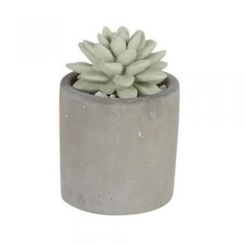 ALOE FRAGRANCE DIFFUSER WATER LILY アロマ 直径9