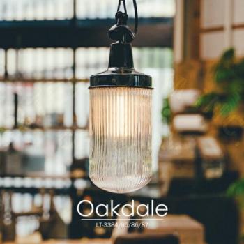 オークデール ペンダントライト 一般球形LED電球付き 天井照明 クリア アンティーク調 高さ34