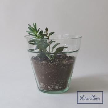 リュースガラス プラントポット リム (M) プランター クリア 花瓶 おしゃれ 高さ15